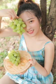 电视剧掩护